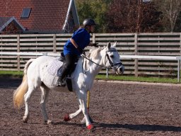 IMG_7199_web